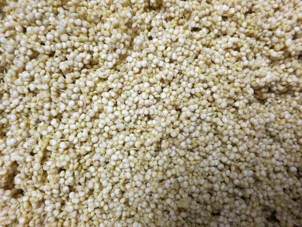 Quinoa Seeds