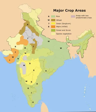 Sorghum (Jowar)
