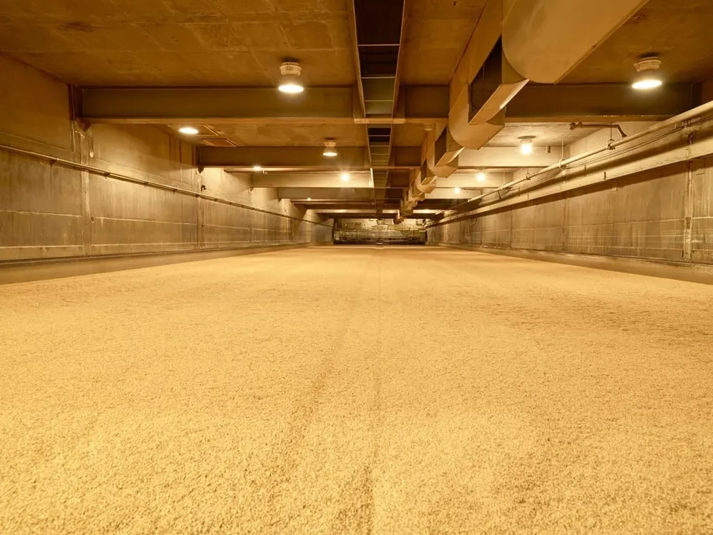 Barley