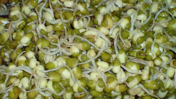 Green Gram Whole (Moong Sabut)
