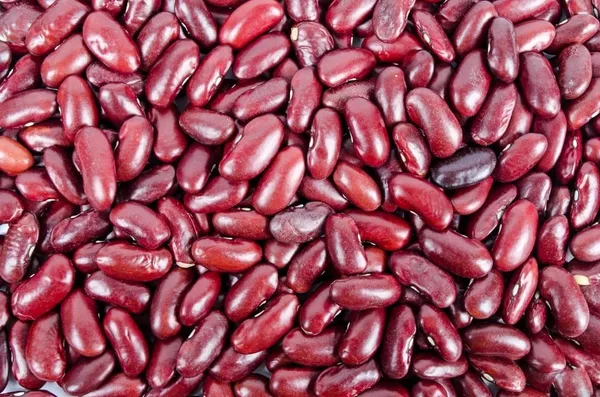 Kidney Beans (Red Rajma)