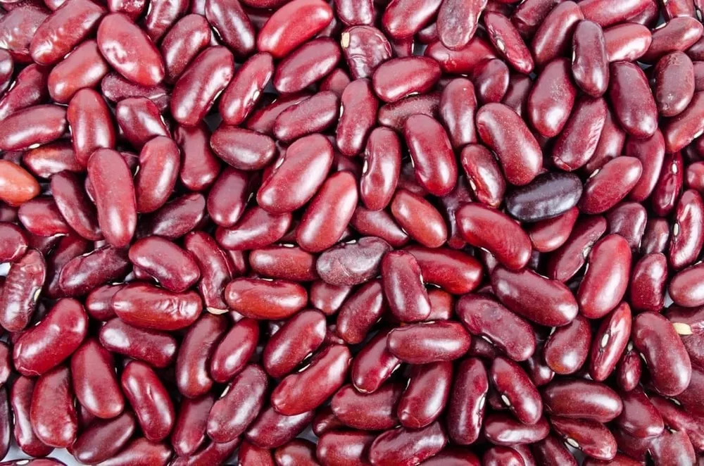 Kidney Beans (Red Rajma)
