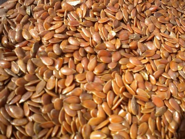 Flax Seed